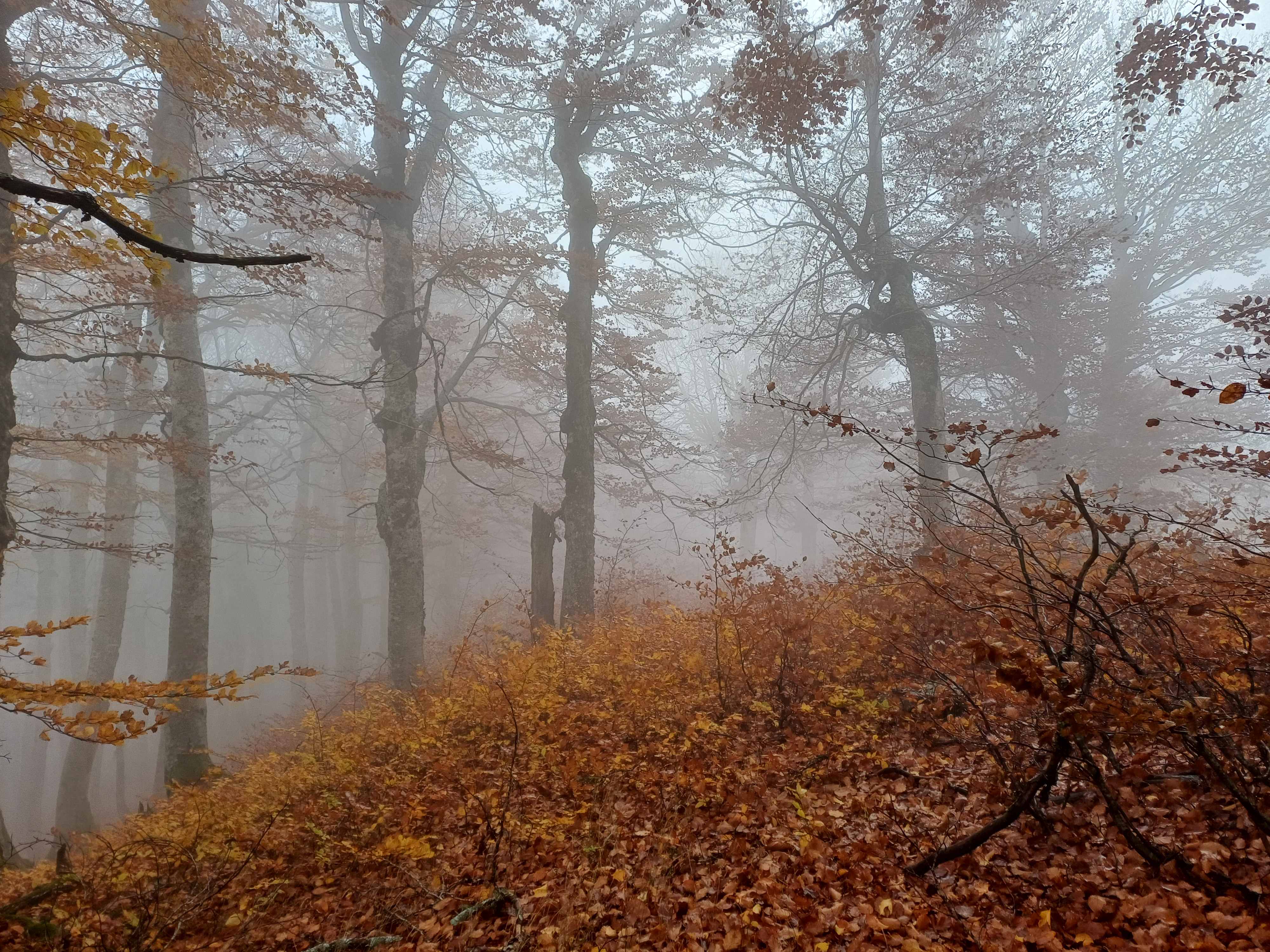 ΓΡΑΜΜΕΝΗ ΟΞΥΑ